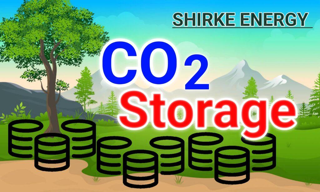 Carbon Storage